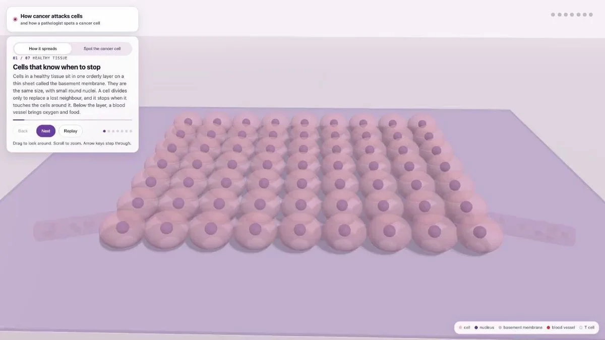 3D cancer progression simulation