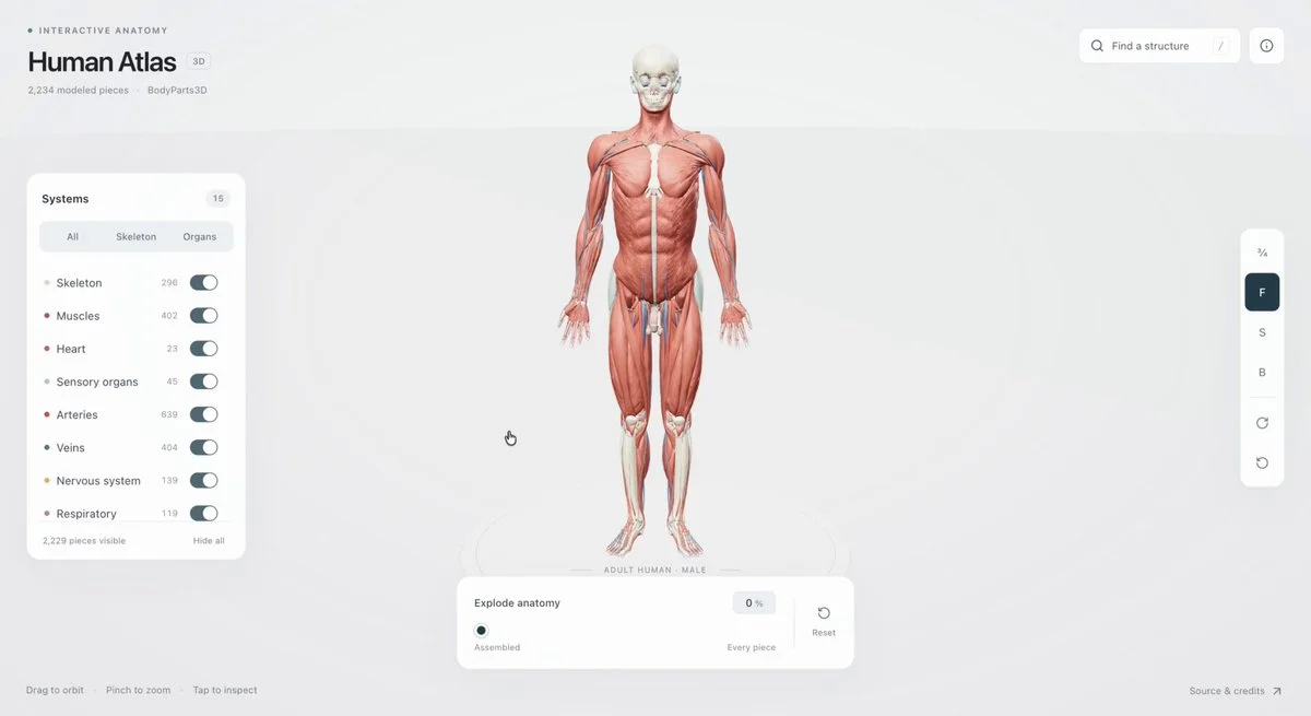 Exploded interactive human anatomy